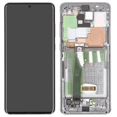 Samsung Galaxy S20 Plus Original Skärm Dynamic Amoled 2X - Grå