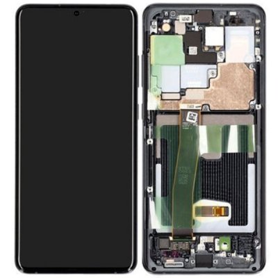 Samsung Galaxy S20 Ultra Original Skärm Display Glas Dynamic Amoled 2X - Svart